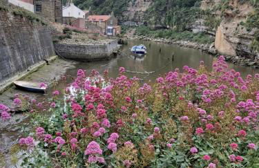 Dunsley Cottage - Foto 54