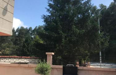 Primero Seixo antiguo - Foto 5