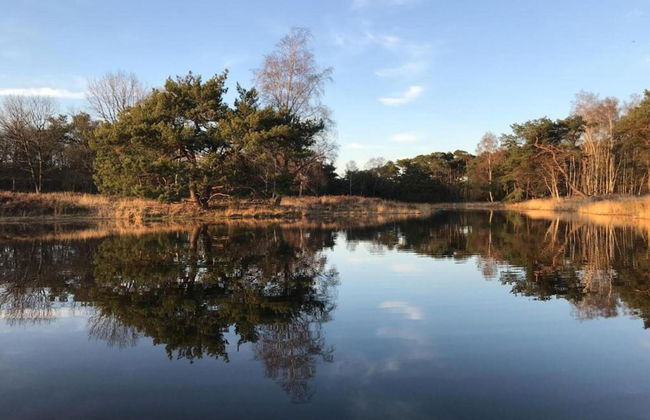 Cottage in Leenderbos Near Nature Reserve - Photo 35