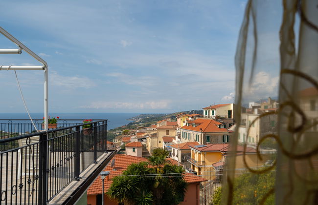 Toni (TZR240) - Foto 14