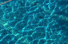 Cortijo de Mariangela UNO - Foto 35