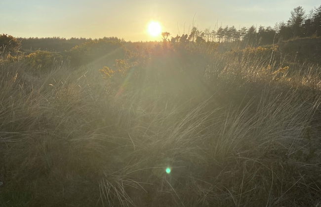 Beautiful 2-bed Chalet in Llanfairpwllgwyngyll - Photo 17