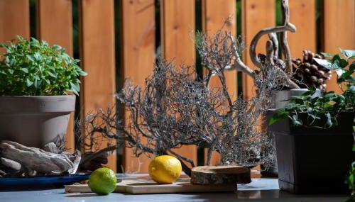 Nerium - Golden Fig Sykia lodge - Foto 4