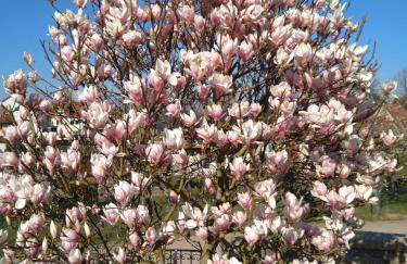 Ferienwohnung Familie Windt - Foto 22