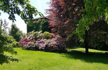 COLVAGO IL PIOL - ANCIENT VENETIAN VILLA - Foto 11