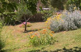 Apartments Krušvina - Foto 51