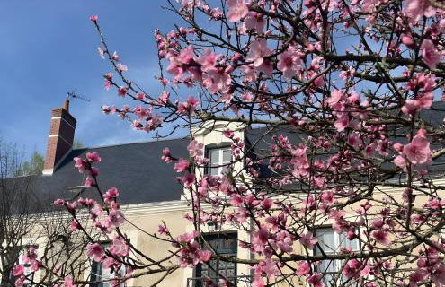 La Maison des Sources - Spa - Foto 11