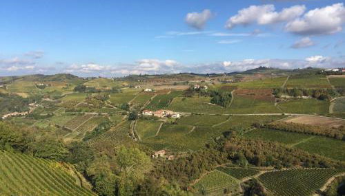 Agriturismo Finestre di Langa - Foto 3, Garden view