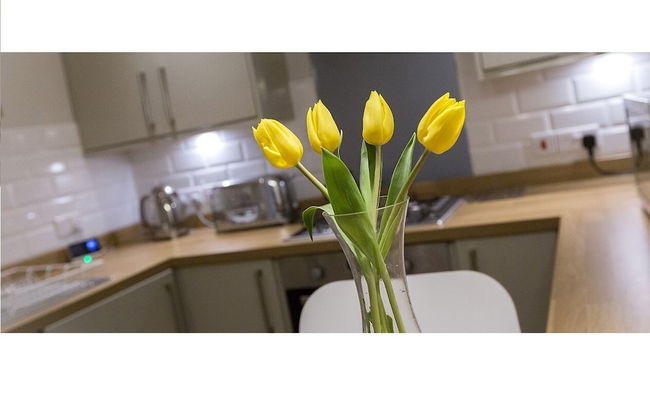 The Lane Apartment - Foto 15