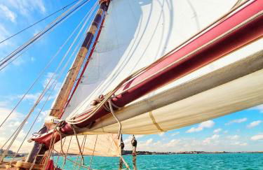 Maison de vacances - côte de Jade - coup de coeur - Foto 36