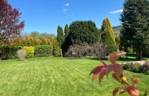 Dolce Vita - Photo 59