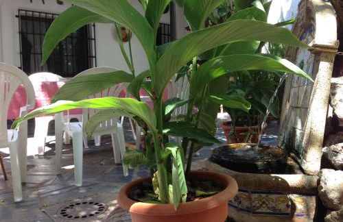 Casa Rural el Rincon del Infante - Foto 55