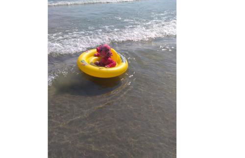 Capri's House - Casa de aluguel - Foto 16