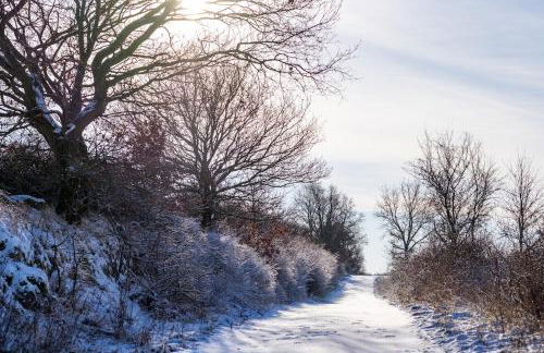 Ferienwohnung am Kunterbunthof - Foto 10