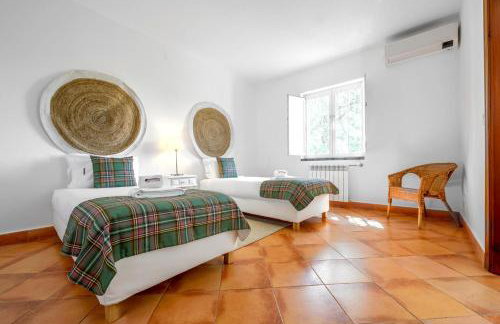 Monte da Vista Alegre - Foto 59