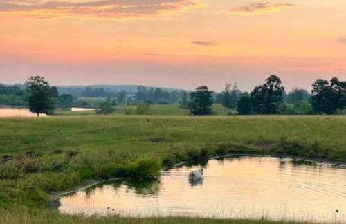 Americana Farm Getaway - Foto 17