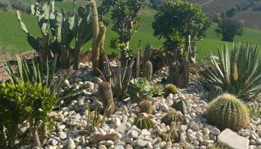 Casale dei Cinque Colli - Foto 5