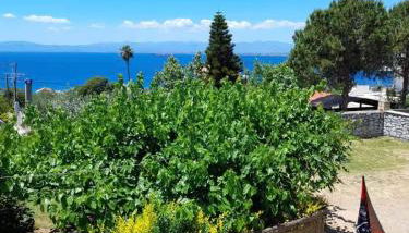 ELGEORGE HOME - Photo 3