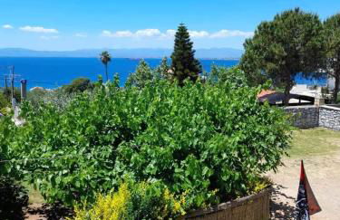 ELGEORGE HOME - Photo 3