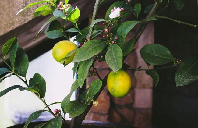 Apartment Dogan - Foto 32