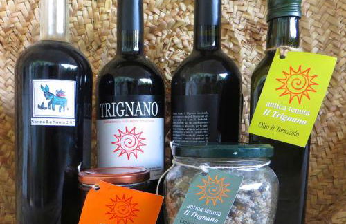 Ancient estate "Il Trignano" - Foto 36