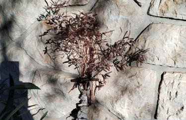 Apartman Mimi - Foto 52