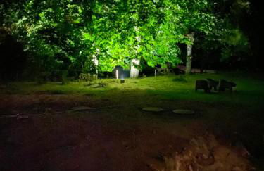 Vaste villa proche golf du Touquet - Foto 38