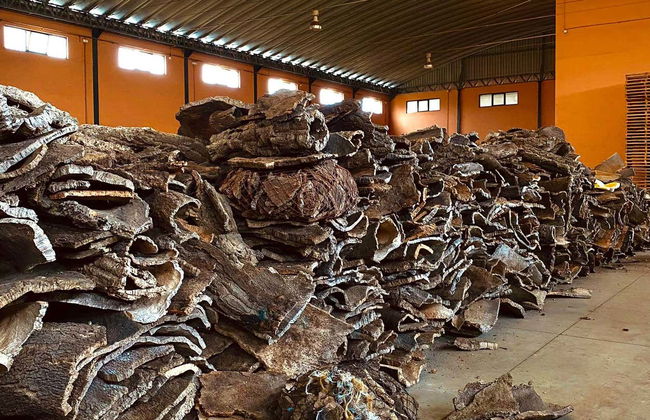 Visita a una fabbrica di sughero - Foto 6