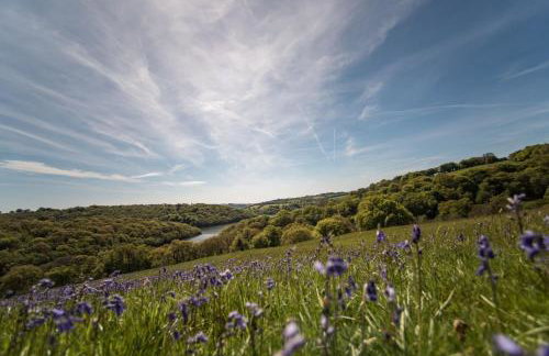 Middle Stolford Cottage Brendon Hill - Photo 79