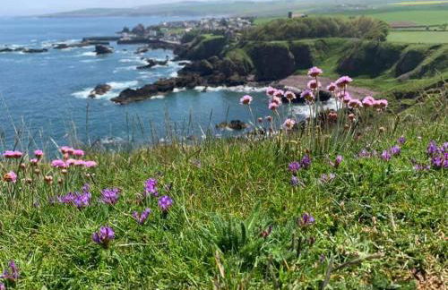 Relax in a 1 Bedroom Apartment near a country Pub - Foto 22