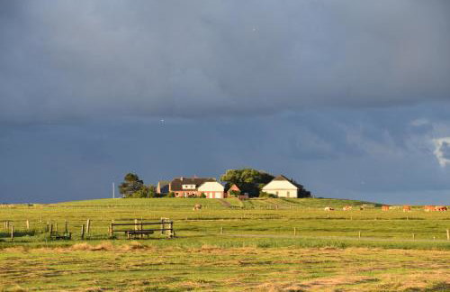 Friesenblau im Haus Schladenhaufen - Foto 20
