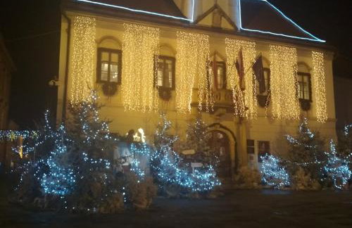 Studio apartman Vuković - Foto 33