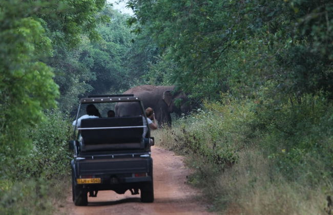 Wilpattu Tree House Hotel - Foto 44