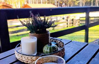 Domek u Rybaka na Mazurach z basenem - Foto 17