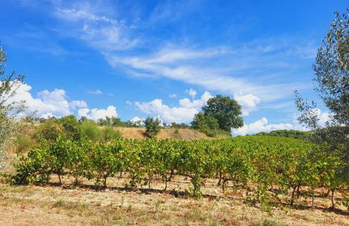 Les Saffres - gîte de charme pour 8 personnes - Foto 27