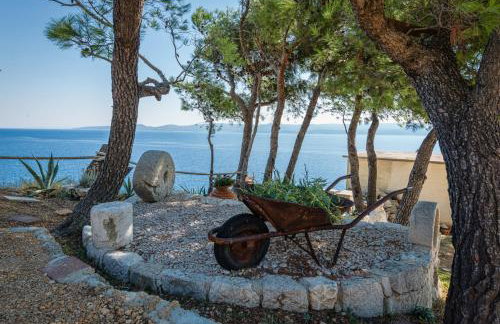 Apartments TOM - Photo 8