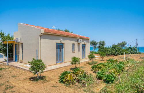 Aegean Horizon - Photo 26