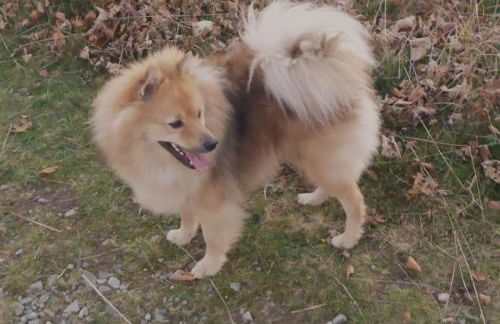 Ferienwohnung Schog - Foto 32