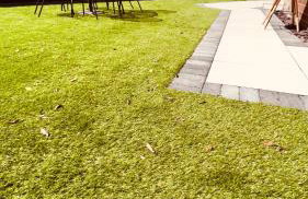 Cozy Charming Bungalow BRAND NEW - Photo 33