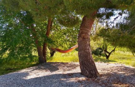 Cortijo La Estrella - Foto 8