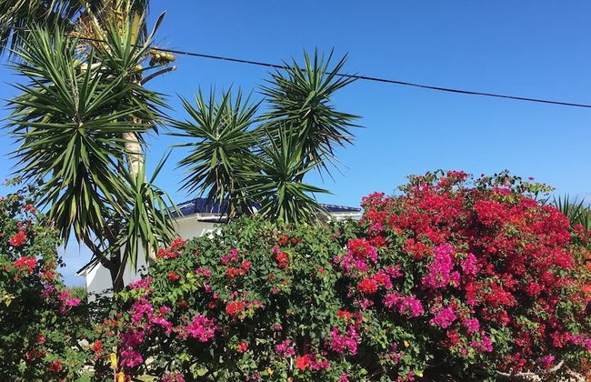 Flipper Refuge 2 Bedroom Cottage - Foto 19