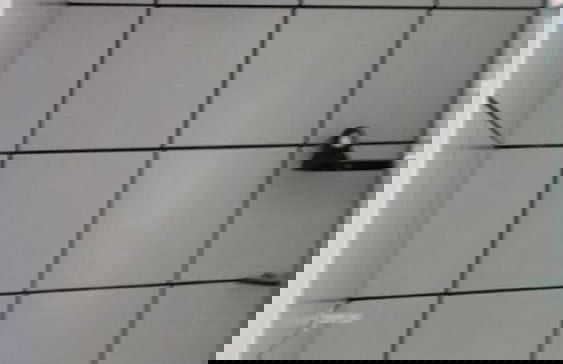 Apartamento a 200m feirinha beira mar - Foto 22