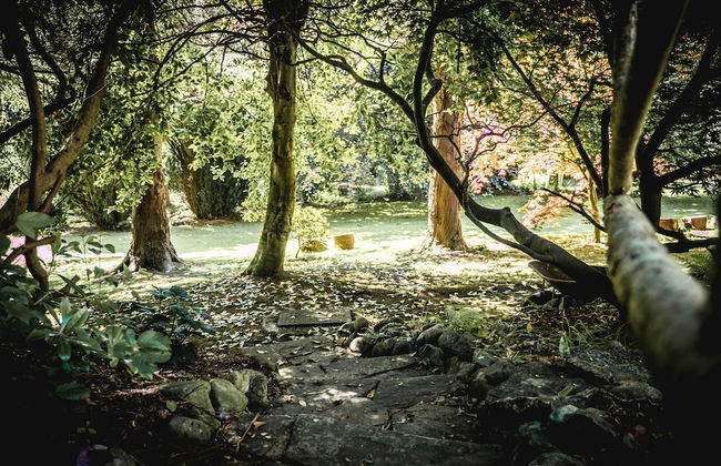 Tir-y-Coed Country House - Foto 52