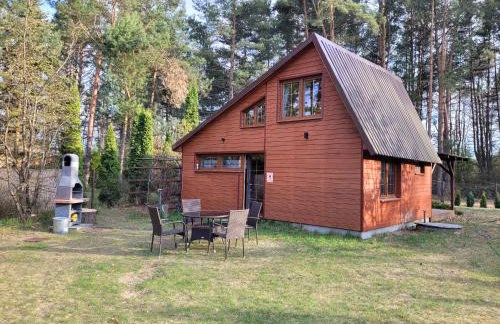 Brązowy Domek - Tleń, Bory Tucholskie - Foto 12