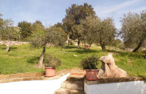 Villa L'Oleandro - Foto 63