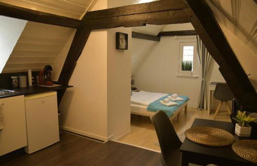 Stilvolle Altbauwohnung, Apartment Träum & schön - Foto 3