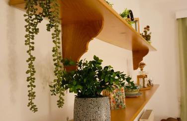 LA NATURE Athens - Foto 14