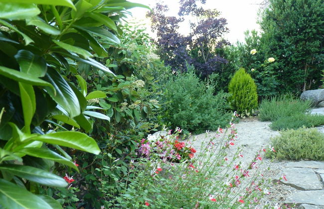 Idyllic Country House in the Foothills of the Pyrenees - Foto 16