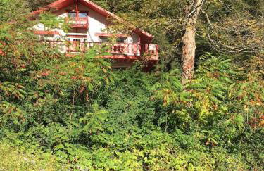 Alpine Four Season Lodge Shandaken NY sleeps 18 - Foto 1