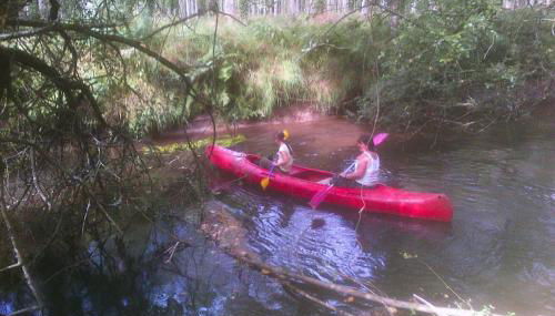 Holiday Home Near Rosa Granite Coast Beaches - Foto 5, Other